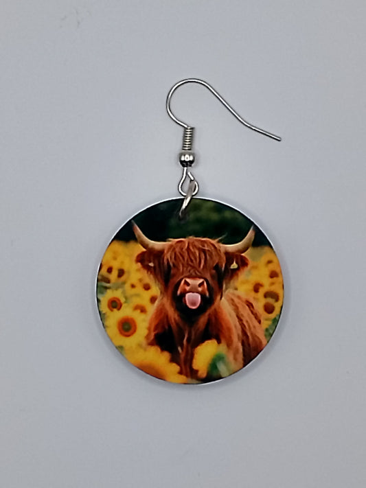 Cute Highland Cow with Sunflowers